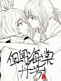 pr九天狐科技升级版